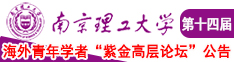 啊哈尿逼里了南京理工大学第十四届海外青年学者紫金论坛诚邀海内外英才！